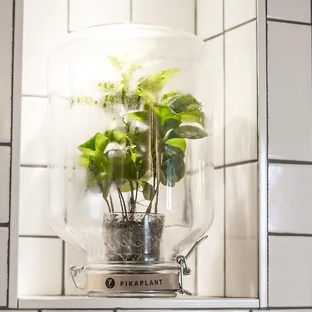 B&B Roeloft Amsterdam